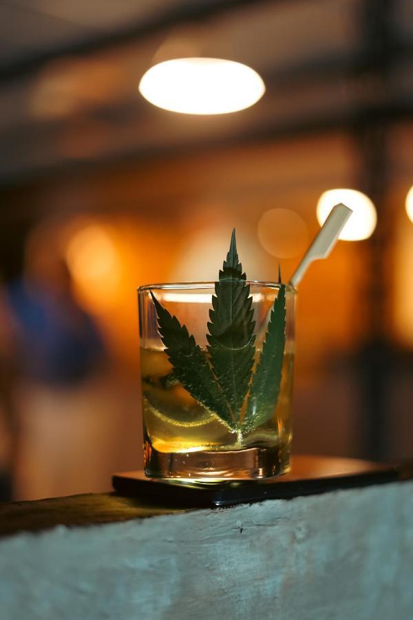 Cannatel Exclusive Hotel El Socorro